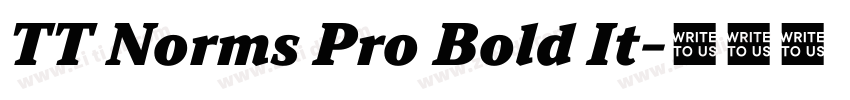 TT Norms Pro Bold It字体转换